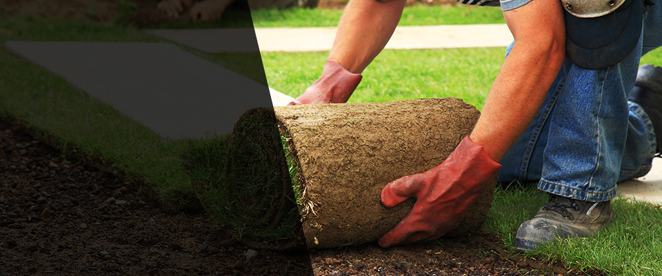 North Highlands Landscapers